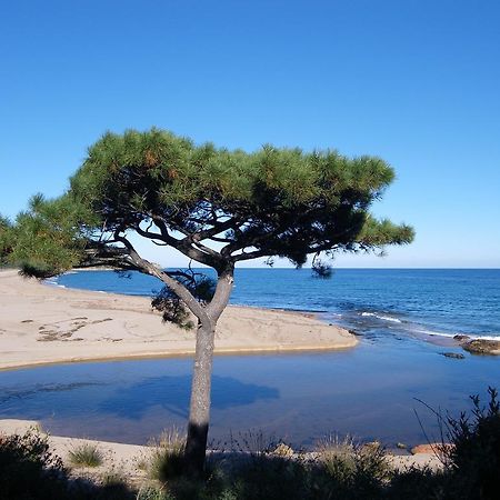 Domaine De La Testa Sainte-Lucie de Porto-Vecchio Exteriér fotografie