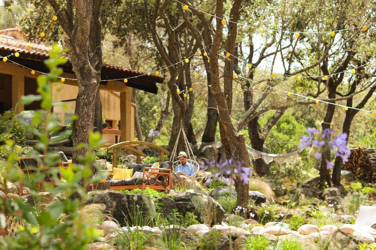 Domaine De La Testa Sainte-Lucie de Porto-Vecchio Exteriér fotografie